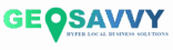 Geosavvy