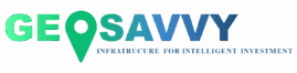Geosavvy